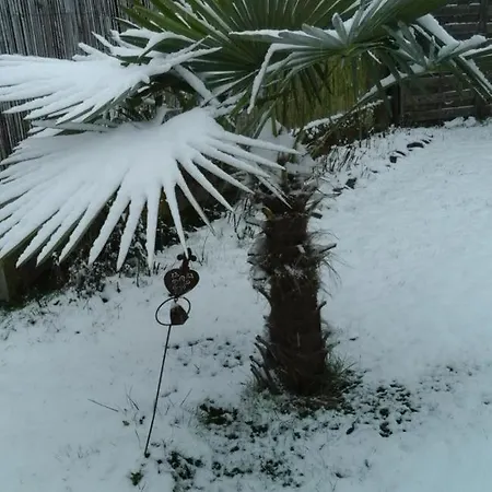 Framboisine Hébergement de vacances Cazeres